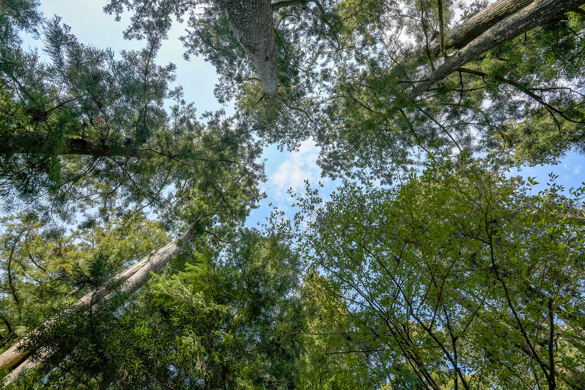 株式会社三本木広報製作所